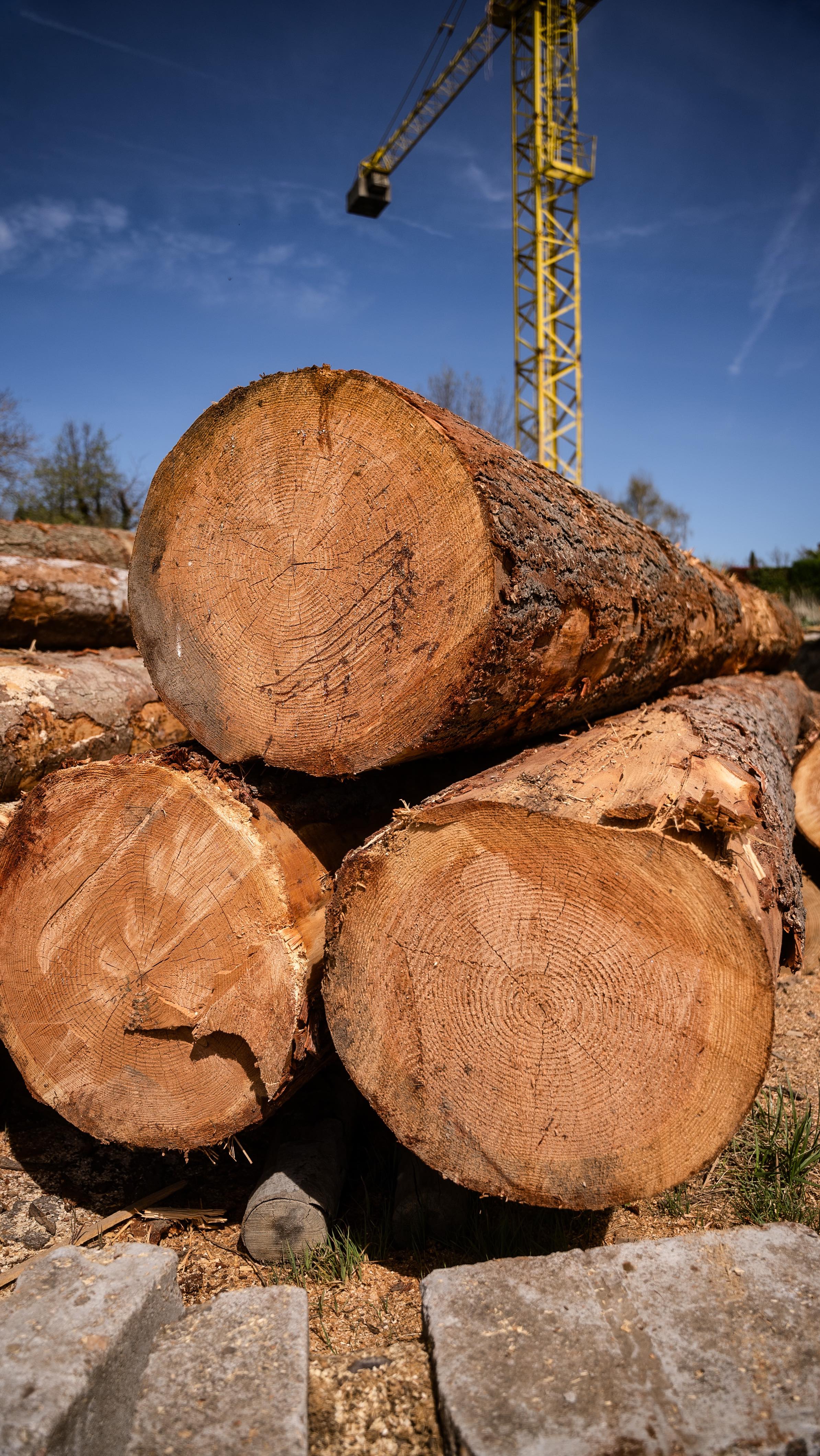 Présentation de la @la_petite_scierie à Aveizieux 
contact@lapetite-scierie.fr  #scierie #edit